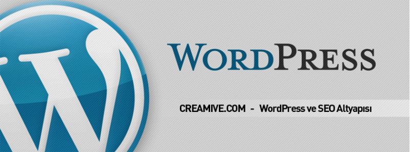 WordPress ve SEO Altyapısı