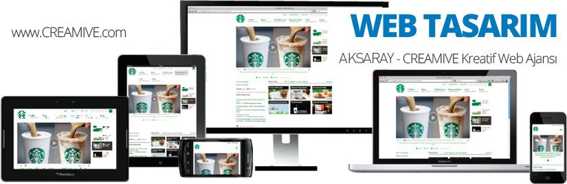 Aksaray Web Tasarım