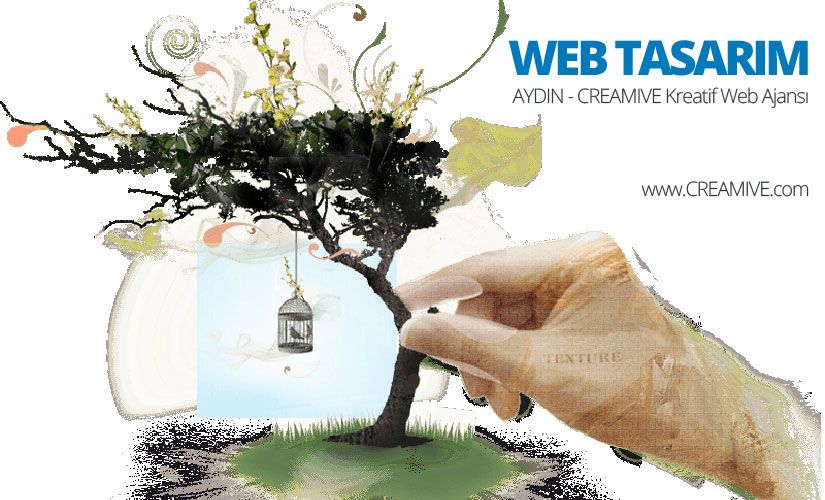 Aydın Web Tasarım