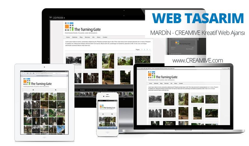 Mardin Web Tasarım
