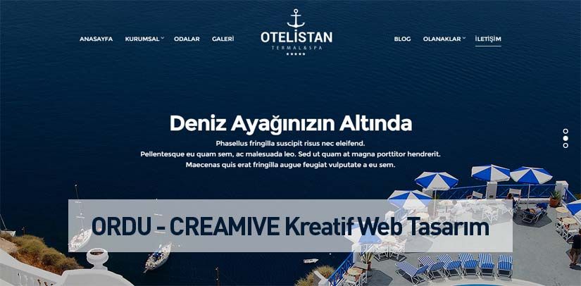 Ordu Web Tasarım