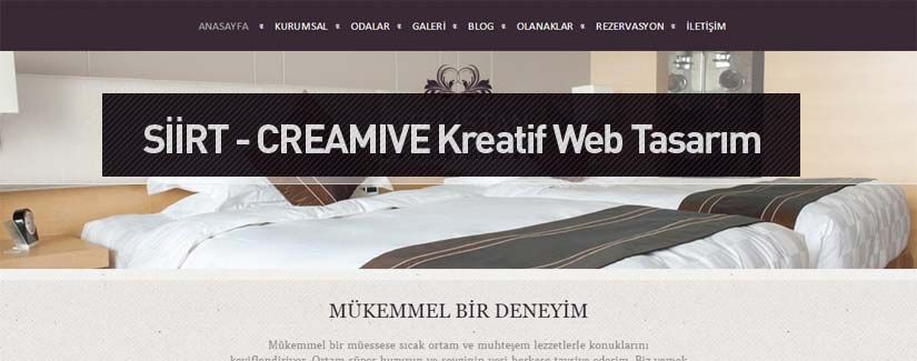 Siirt Web Tasarım